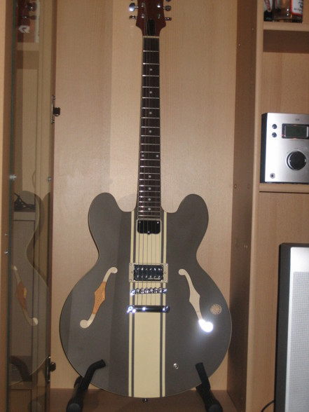 E-Gitarren Equipment - 