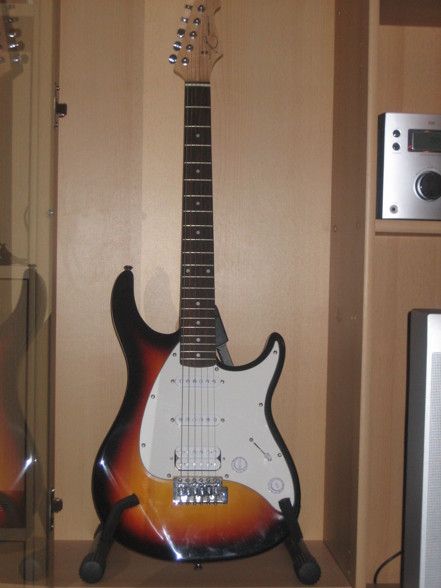 E-Gitarren Equipment - 