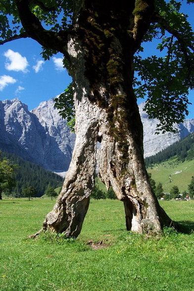 kraxln / Hüttengaudi / Bergsteign - 