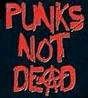 Punk's not dead (des Bin I) - 