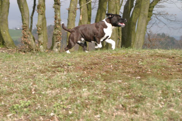 Endlich Frühling! - 