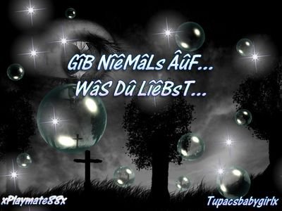 Geile biLder ;-) - 