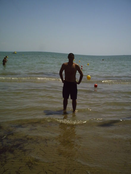 * LiGnAnO * - 