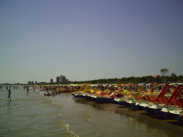 * LiGnAnO * - 