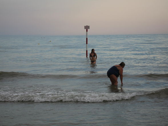 * LiGnAnO * - 