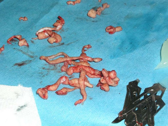 Nicht´s für schwache Nerven!! - 