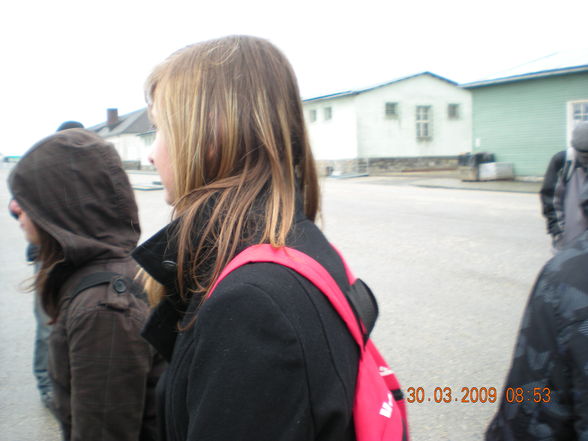 schule & auf den weg nach mauthausen :D - 