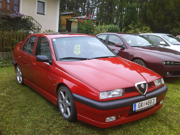 Alfa Treffm 2008 - 