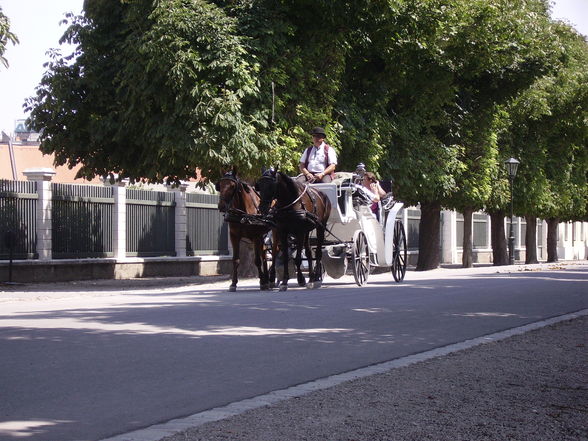 Wien Schönbrunn - 