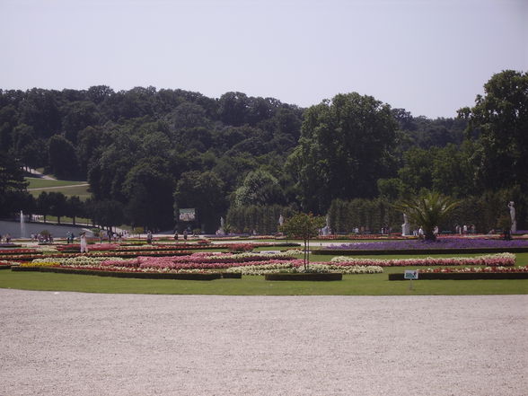 Wien Schönbrunn - 