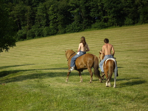 Reiten - 