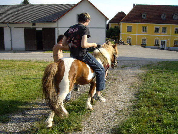 Reiten - 