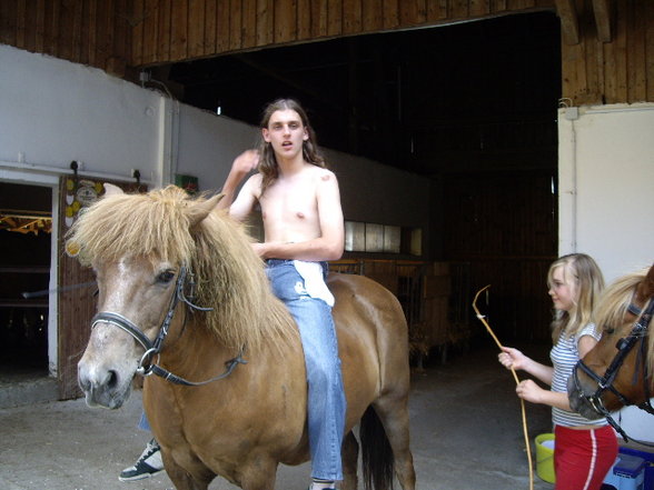 Reiten - 