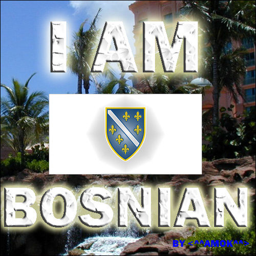 Bosnia 4 ever - 