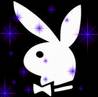 playboybunnys!!!!!!!!!!!!!!!!!!!! - 