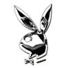 playboybunnys!!!!!!!!!!!!!!!!!!!! - 