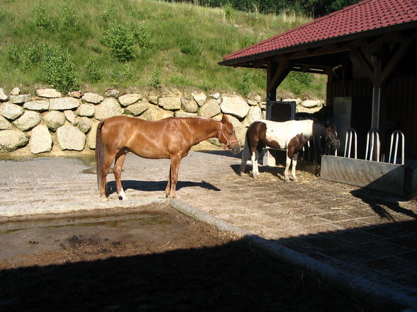 Unsere Aktivitäten 2005 - 