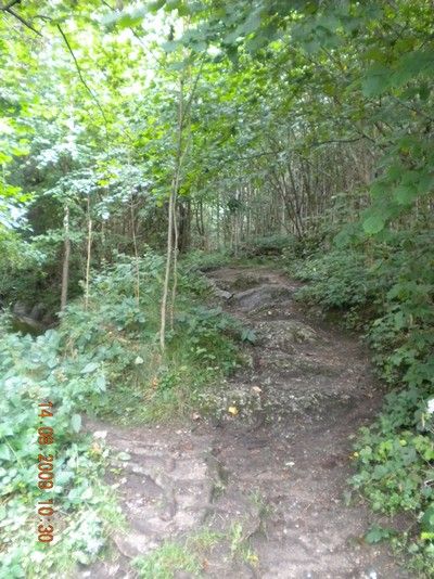 Yspernklamm - Druidenweg - 