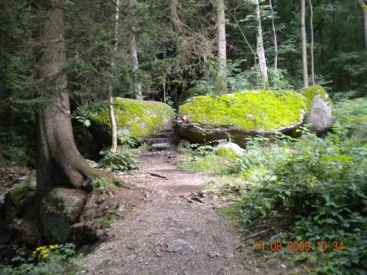 Yspernklamm - Druidenweg - 