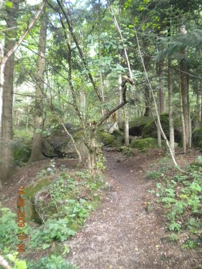 Yspernklamm - Druidenweg - 