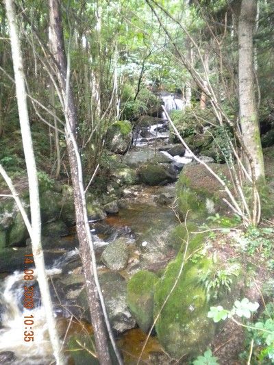 Yspernklamm - Druidenweg - 