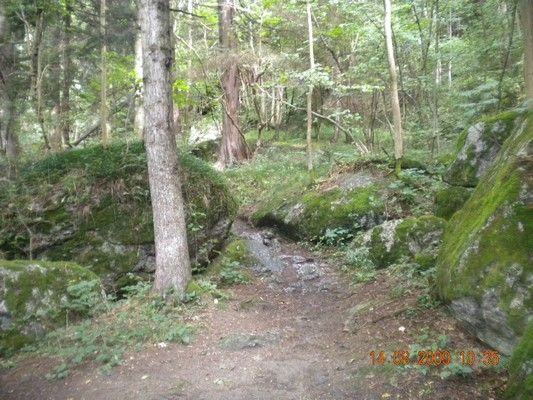 Yspernklamm - Druidenweg - 