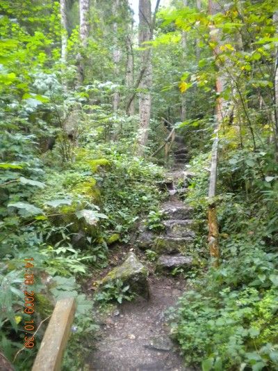 Yspernklamm - Druidenweg - 