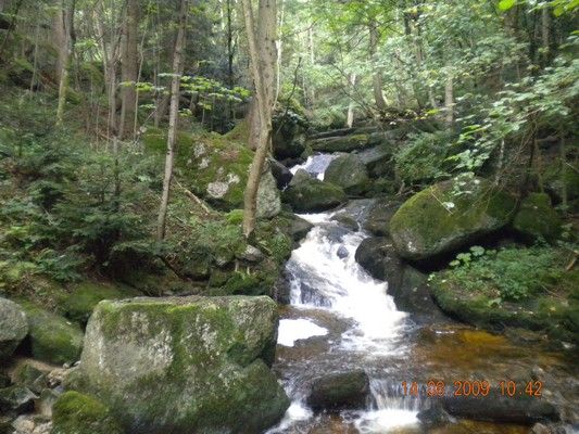 Yspernklamm - Druidenweg - 