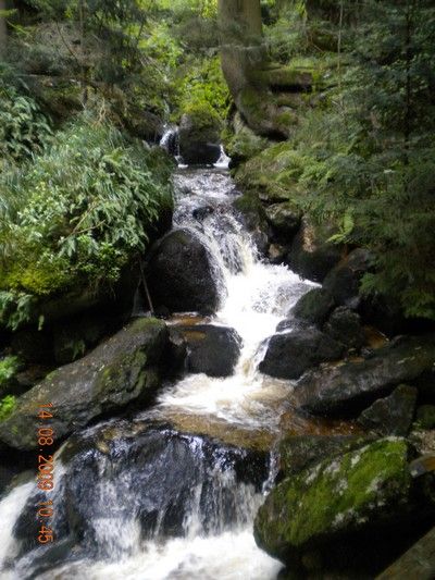 Yspernklamm - Druidenweg - 