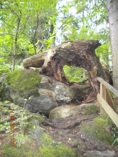 Yspernklamm - Druidenweg - 