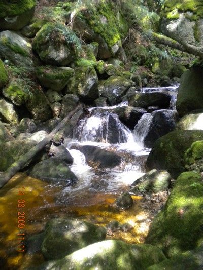 Yspernklamm - Druidenweg - 