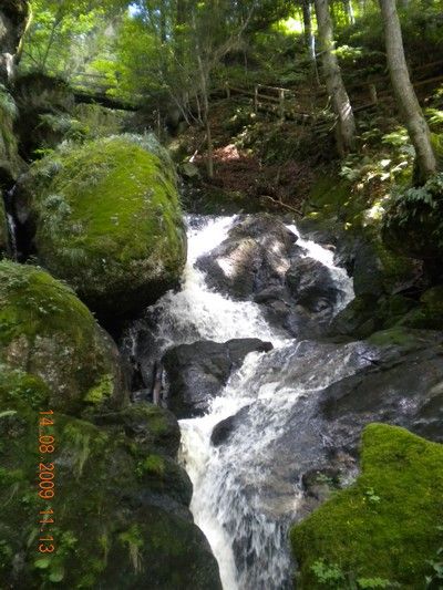 Yspernklamm - Druidenweg - 