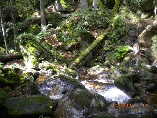 Yspernklamm - Druidenweg - 