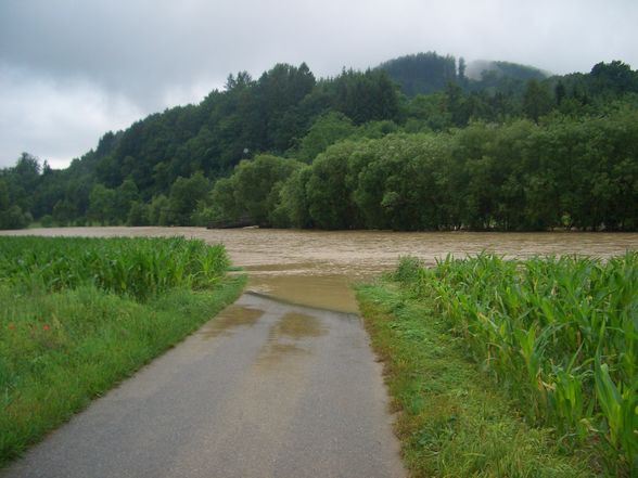 Hochwasser - 