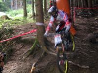 Downhill - 