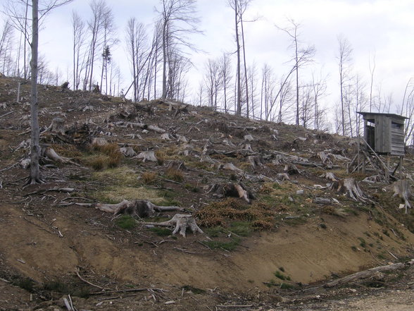 Wanderung Windhagkogel - 