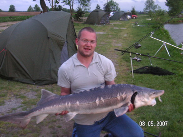 Fischen im Waldviertel - 