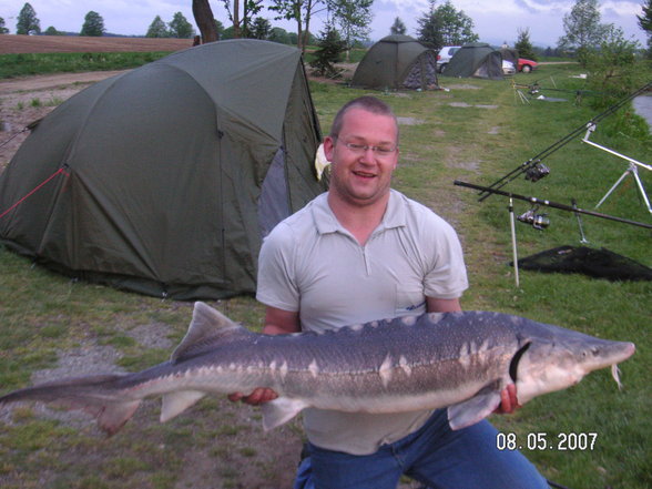 Fischen im Waldviertel - 