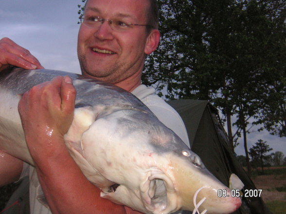 Fischen im Waldviertel - 