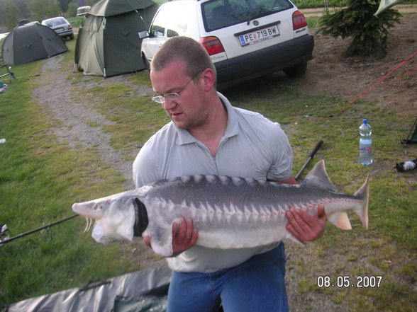 Fischen im Waldviertel - 