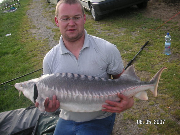 Fischen im Waldviertel - 