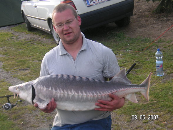 Fischen im Waldviertel - 