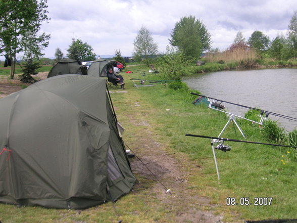 Fischen im Waldviertel - 