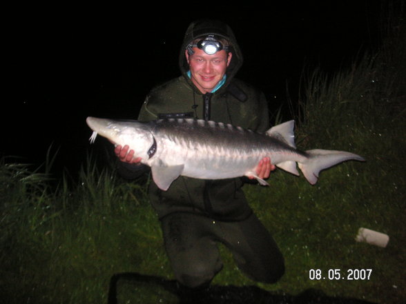 Fischen im Waldviertel - 