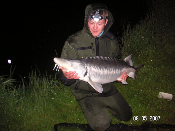 Fischen im Waldviertel - 