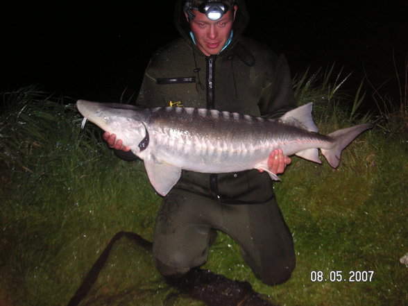 Fischen im Waldviertel - 