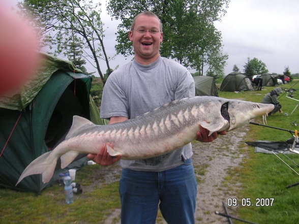 Fischen im Waldviertel - 