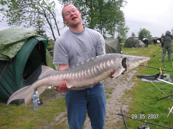 Fischen im Waldviertel - 