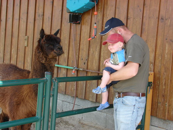 Tierparp Walding - 