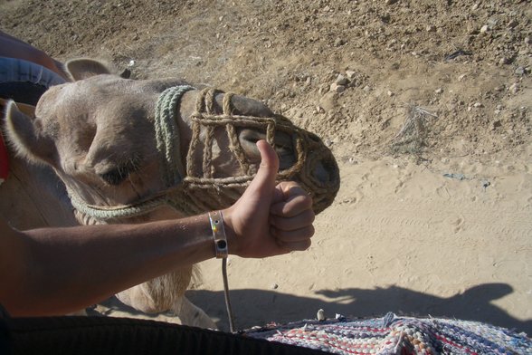 Urlaub mit meinem Schatzi - 